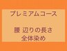 プレミアムコース ●腰 辺りの長さ 全体染め