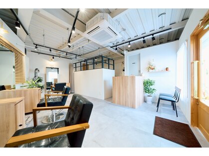 フォレスト(Forest)の写真