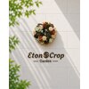 イートンクロップガーデン(Eton Crop Garden)のお店ロゴ
