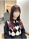 レイヤー/ボルドー