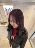 roots color  lavender×black