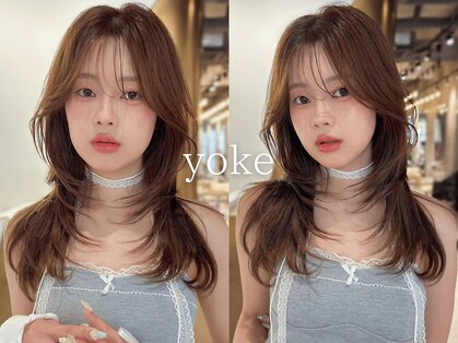 ヨーク(yoke)の写真
