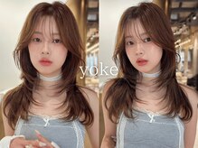 ヨーク(yoke)