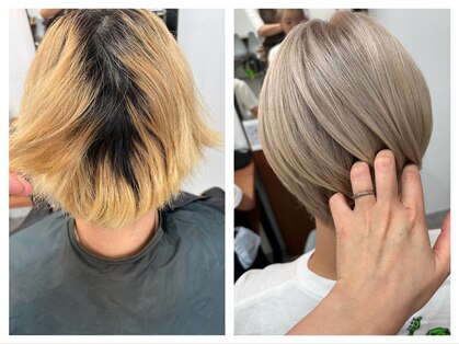 トマリギ(tomarigi)の写真