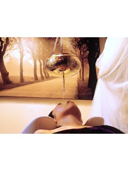 【極上"アーユルヴェーダ"SPA】フルフラットのシャンプー台で疲れを芯からほぐしきる…最上級の癒し体験を