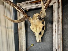 ザ デイ フォーヘアー(The day 4 HAIR)の雰囲気（フレンチシックな空間）