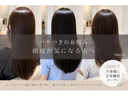 hacco　下赤塚店　【ハッコ】　【7月中旬NEW OPEN（予定）】の写真