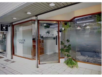 カラー セタガヤ(COLOR Seatagaya)の写真