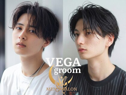 ベガグルーム(VEGA groom)の写真