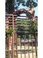 フリーダム モカ 千舟町店(freedom mocha)&nbsp;動物園に行ってきました
