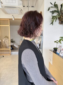 モンテヘアー(monte hair)の写真/【ヘアケアマイスター保有】ライフスタイルに合わせたご提案で、365日可愛く、カッコよく◎
