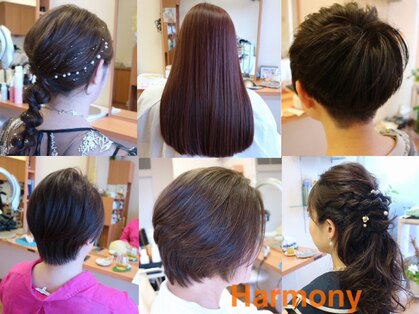 ハーモニー(Harmony)の写真