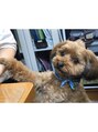 シック 浦和(CHIC)&nbsp;動物大好き！以前飼っていたわんこです♪ペットのお話大歓迎！