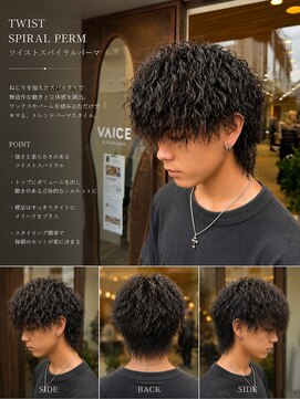 ヴァイス 吉祥寺(VAICE) ツイストスパイラル