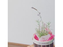 コティ ヘアデザイン(koti hair design)の雰囲気（外の花壇に咲いているハーブを店内にも…癒されます！）