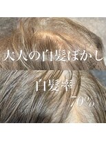 ヴィオラカラー(VIOLLA COLOR)&nbsp;白髪ぼかし/小倉白髪ぼかし／北九州白髪ぼかし/福岡白髪ぼかし