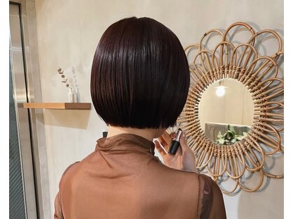 サニー(Sany)の写真