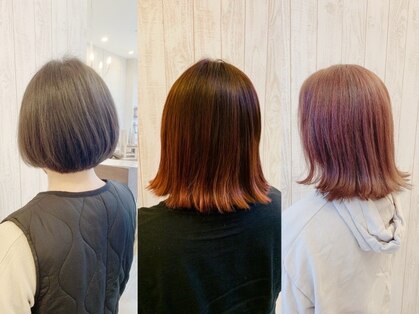シュシュクルール(Chou Chou Couleur)の写真