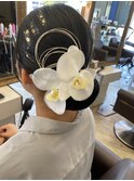 前撮りセット