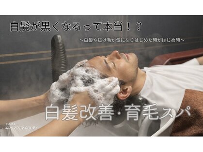 ラムデリカ(LUMDERICA)の写真