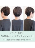 【WILLOW京橋/都島】白髪ぼかしハイライト×ショート(井下貴史)