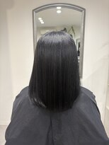 ガーベラ(gerbera) ダークパープルカラー