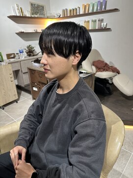 シラス(SiLasu) シースルーマッシュ