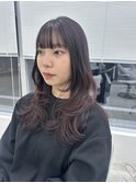 ミディアムレイヤー