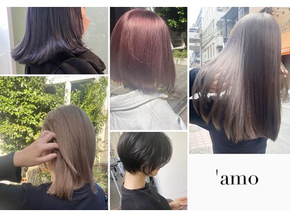 アモ(’amo)の写真