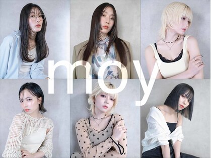 モイ(moy)の写真