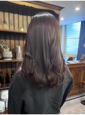 layer cut × Cassis lavender