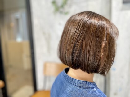 アドパルム(add palm)の写真