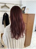 ピンクラベンダー