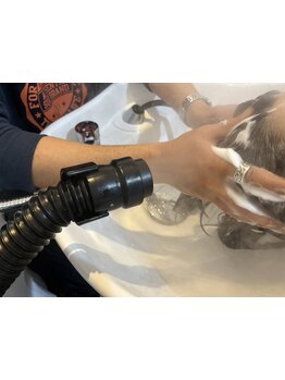 毎日のシャンプーで落としきれない頭皮の汚れもしっかりケア。癒されながら綺麗＆自分へのご褒美に[佐賀]