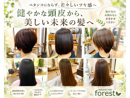 フォレスト(forest)の写真