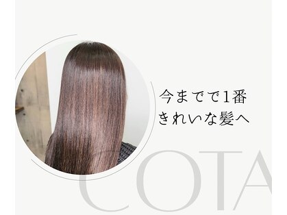 サネリ(Saneli)の写真