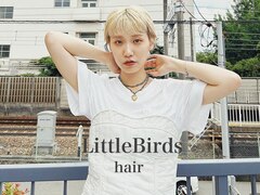 Little Birds【リトルバード】
