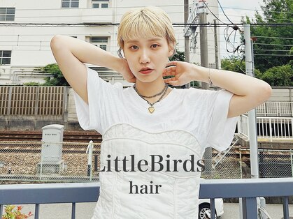 リトルバード(Little Birds)の写真