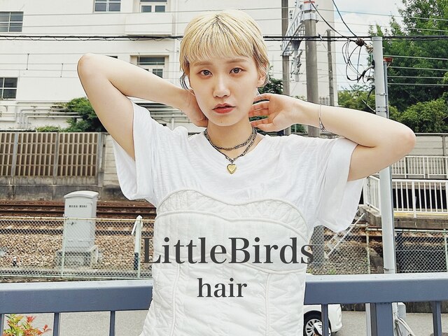 リトルバード(Little Birds)