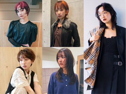 フイ(HUI)の写真