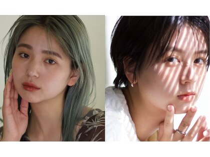 シュール(Sure)の写真