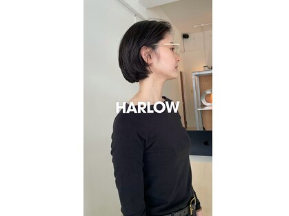ハーロウ(HARLOW)の写真