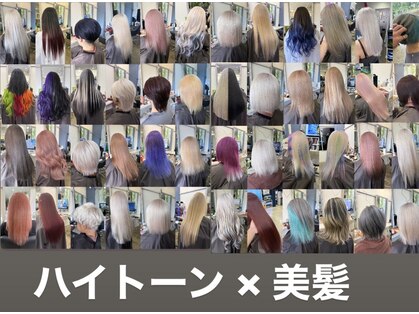 カレント(Current)の写真