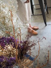 ボルタノット(volta∞knot) RISA