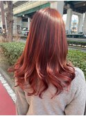 鮮やかなグラデーション風♪ローズヒップ!!