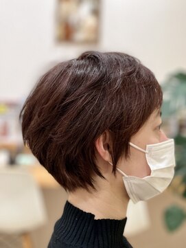 リトルクラン(little clan) ハンサムショート