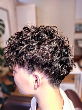 デュークス ラ フィ(Doux la fee) ツイスパ２ブロ