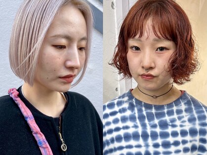 サル(saru)の写真