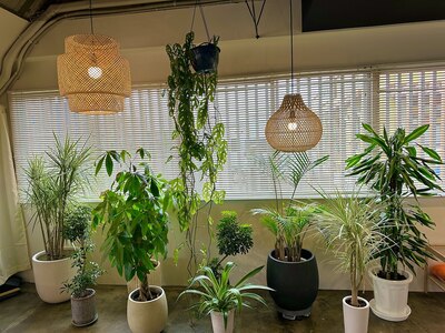 【植物がいっぱい】日頃の疲れ溜まってませんか？上質な癒し空間