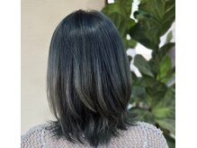 フィカス(Ficus)